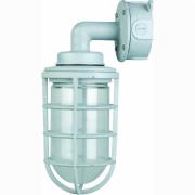 Explosion-proof lights