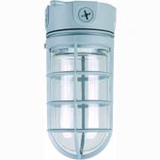 Explosion-proof lights