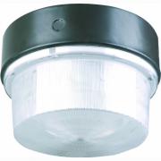 100W Round Ceiling Light