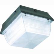 150W Ceiling fixture, Canopy, Vandals