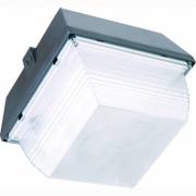 70W canopy, 70w Vandals Light