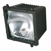 HID Flood Light