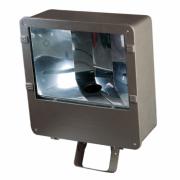 HID Flood Light