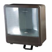 HID Flood Light